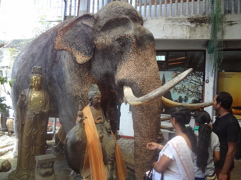 DSC03103.JPG - Sep 8-12, 2014 寺廟Kotte Raja Maha Viharaya (斯里蘭卡，可倫坡) [Kotte Raja Maha Viharaya, Colombo, Sri Lanka]-46